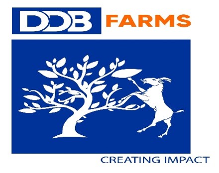 D.D.B. Farms logo